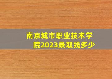 南京城市职业技术学院2023录取线多少