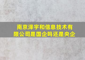 南京泽宇和信息技术有限公司是国企吗还是央企