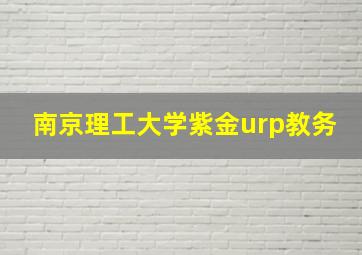 南京理工大学紫金urp教务