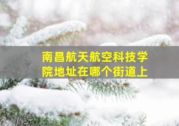 南昌航天航空科技学院地址在哪个街道上