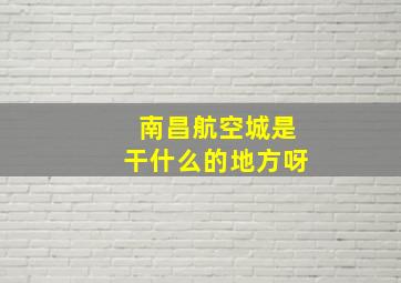 南昌航空城是干什么的地方呀