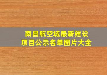 南昌航空城最新建设项目公示名单图片大全