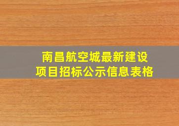 南昌航空城最新建设项目招标公示信息表格