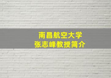 南昌航空大学张志峰教授简介