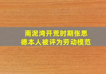 南泥湾开荒时期张思德本人被评为劳动模范