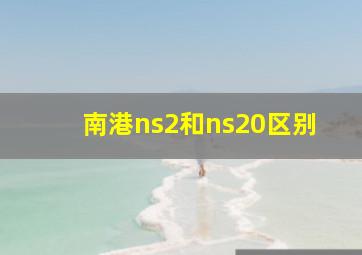 南港ns2和ns20区别