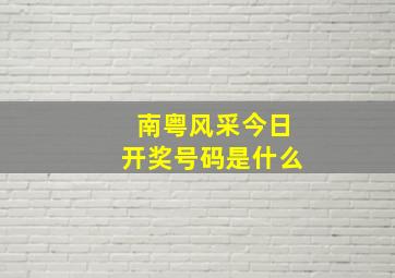 南粤风采今日开奖号码是什么