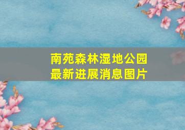 南苑森林湿地公园最新进展消息图片