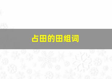 占田的田组词