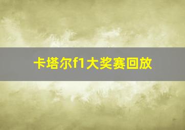 卡塔尔f1大奖赛回放