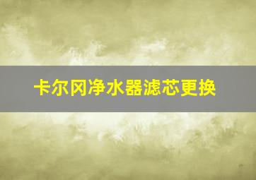 卡尔冈净水器滤芯更换