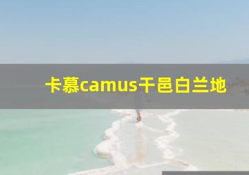 卡慕camus干邑白兰地