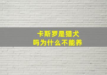 卡斯罗是猎犬吗为什么不能养