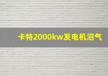 卡特2000kw发电机沼气