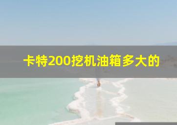 卡特200挖机油箱多大的