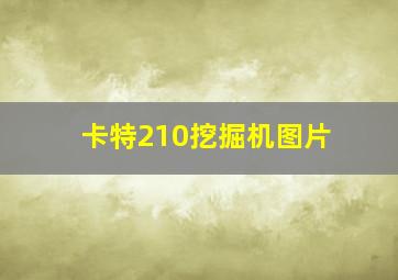 卡特210挖掘机图片