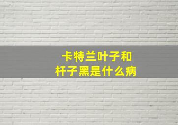 卡特兰叶子和杆子黑是什么病