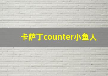 卡萨丁counter小鱼人