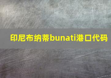 印尼布纳蒂bunati港口代码