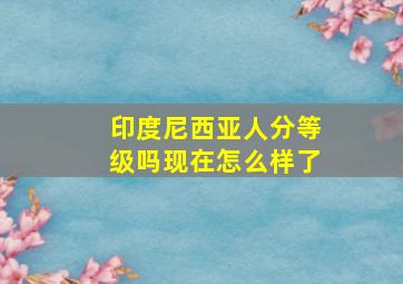 印度尼西亚人分等级吗现在怎么样了