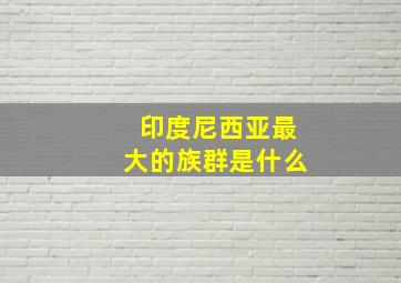 印度尼西亚最大的族群是什么