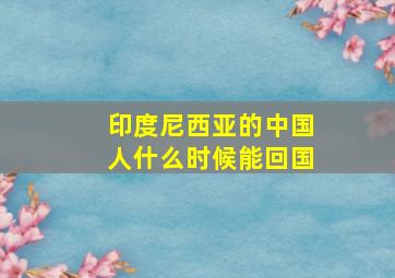 印度尼西亚的中国人什么时候能回国