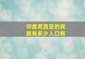 印度尼西亚的民族有多少人口啊