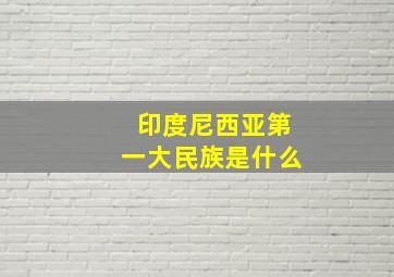 印度尼西亚第一大民族是什么