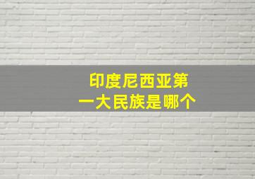 印度尼西亚第一大民族是哪个