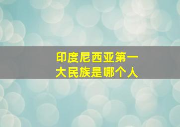 印度尼西亚第一大民族是哪个人