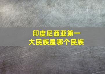 印度尼西亚第一大民族是哪个民族