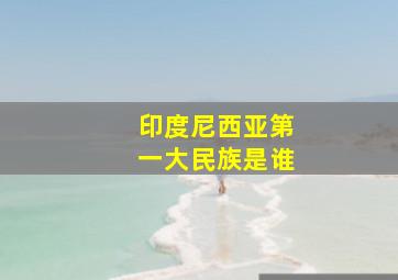 印度尼西亚第一大民族是谁