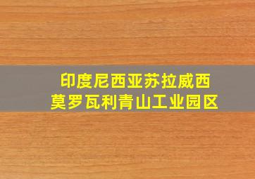 印度尼西亚苏拉威西莫罗瓦利青山工业园区