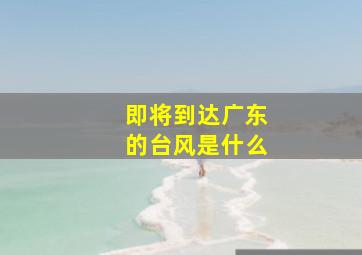 即将到达广东的台风是什么