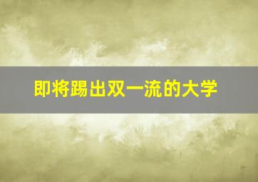 即将踢出双一流的大学