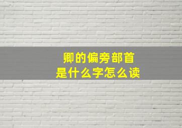 卿的偏旁部首是什么字怎么读