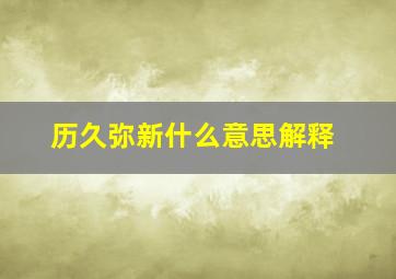 历久弥新什么意思解释