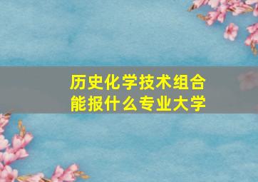 历史化学技术组合能报什么专业大学