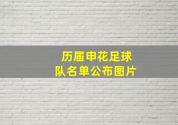 历届申花足球队名单公布图片