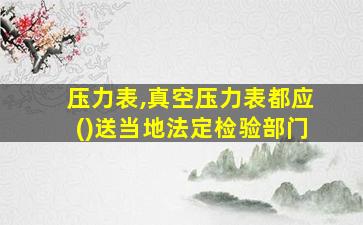 压力表,真空压力表都应()送当地法定检验部门