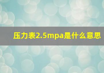 压力表2.5mpa是什么意思