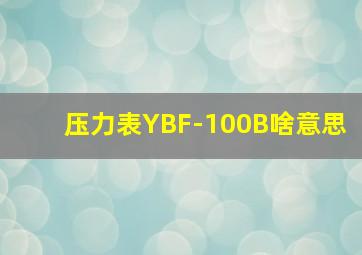 压力表YBF-100B啥意思