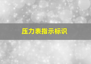 压力表指示标识