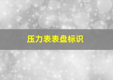 压力表表盘标识