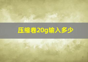 压缩卷20g输入多少