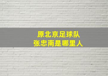 原北京足球队张忠南是哪里人