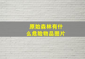 原始森林有什么危险物品图片