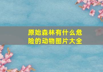 原始森林有什么危险的动物图片大全