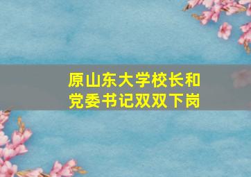 原山东大学校长和党委书记双双下岗