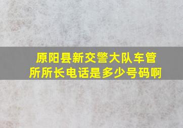 原阳县新交警大队车管所所长电话是多少号码啊